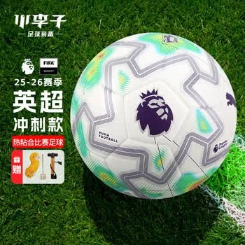 2026世界杯A组球队分析与展望